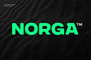 Gunterz Rounded, a Sans Serif Font by Locomotype (Thumbnail 10 of 13)