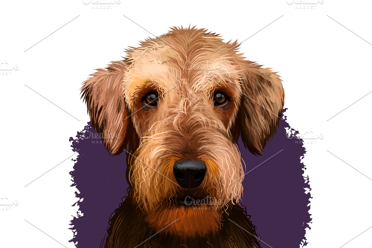 Popular Dog Breeds in World Pets Set, an Illustration by Dneprstock (Photo 2 of 4)