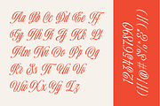 Ballpricks - Vintage Font Duo, a Script Font by Martype (Thumbnail 5 of 12)