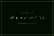 Figurative - Elegant Serif Font, a Serif Font by RockboyStd (Thumbnail 10 of 12)