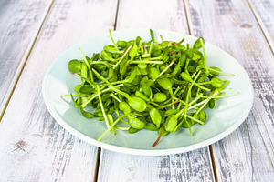 Fresh green sunflower microgreens on a blue plate. Healthy sprout plant ingredi, a Food & Drink Photo by Eugene_Photo