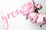 Honeycutt Brush Script, a Script Font by Hanna James (Thumbnail 2 of 4)
