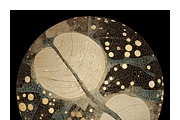 Hobo Co. Bio Textured Illustrations, a Texture Illustration by milatovar (Thumbnail 11 of 15)