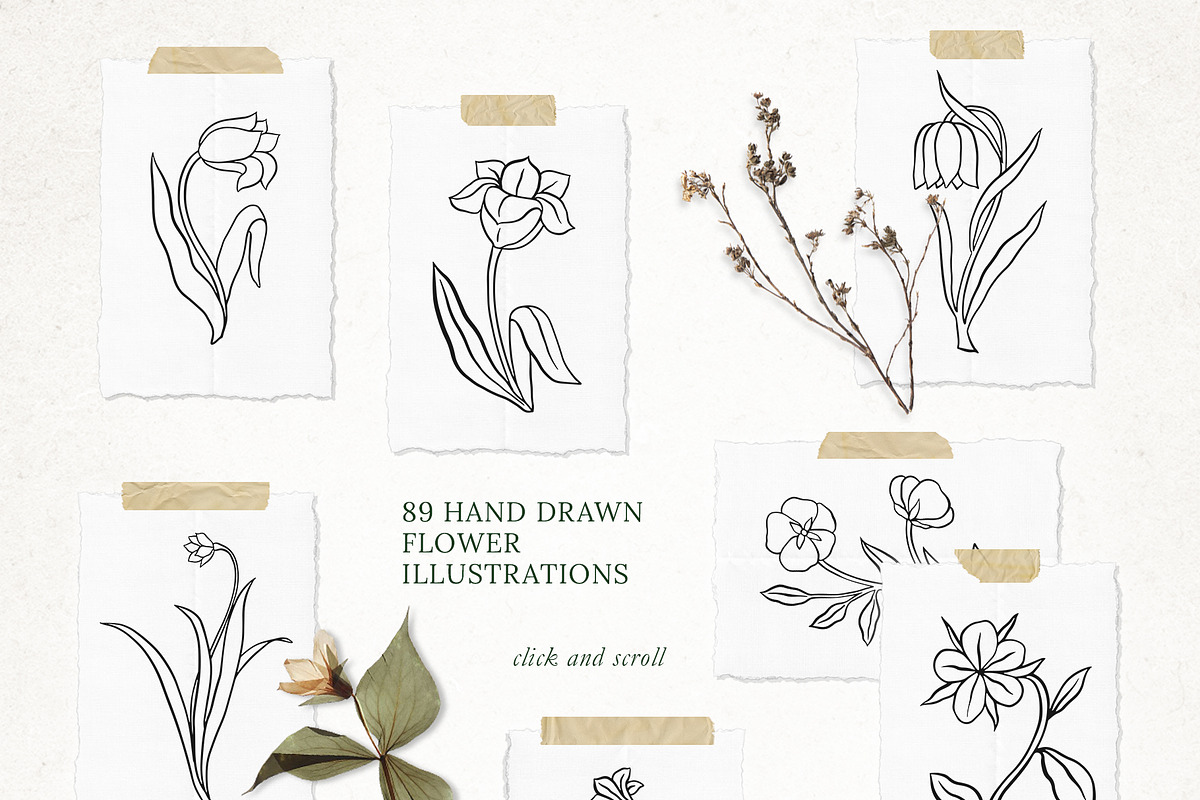 89 LINE ART FLOWER ILLUSTRATIONS, an Illustration by Katerina Osa (Photo 2 of 10)