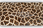 24 Animal Pattern Texture, a Background Graphic by NOMO DESIGN (Thumbnail 21 of 24)