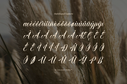 Larfioda | Elegant Script Font, a Script Font by gracetype_studio (Thumbnail 11 of 12)