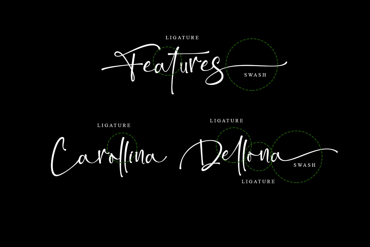Bittersoni, a Script Font by Letterara (Photo 8 of 11)
