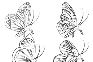 Butterfly Outlines Set 2 Procreate