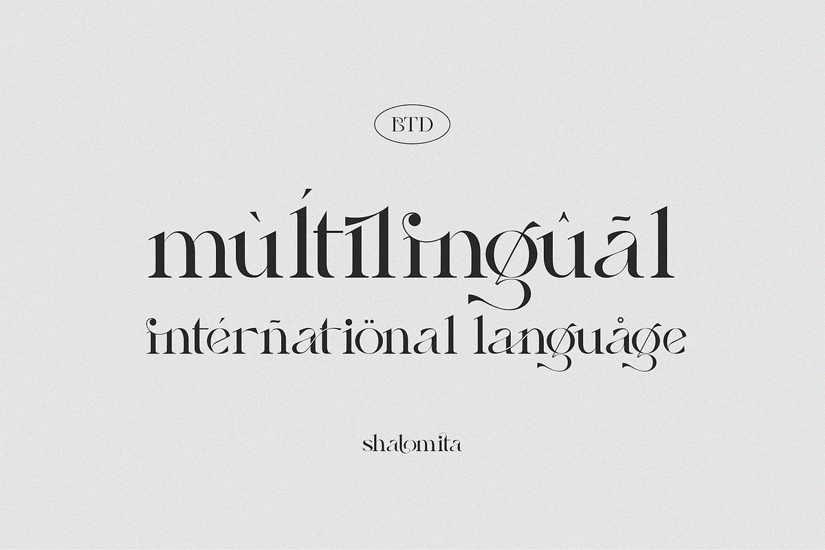 Shalomita, a Serif Font by Burntilldead (Photo 5 of 14)