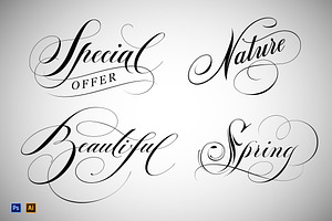 Hand Lettered Words., an Illustration by vatesdesign