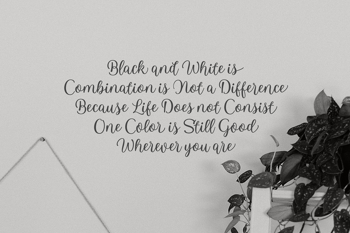 Howell Script, a Script Font by Genesis Lab (Photo 3 of 6)
