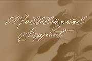 Flumtips Noulevia – Chic Calligraphy, a Script Font by Storytype Studio (Thumbnail 11 of 15)