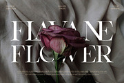 Qealiz || Elegant Serif Font, a Serif Font by Idea Studio (Thumbnail 2 of 10)
