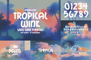 Hawaii Font Bundle - 71 Fonts!, a Serif Font by HipFonts (Thumbnail 7 of 19)