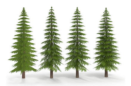 Canadian Spruce Tree Grean V1
