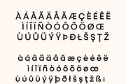 Ideal Pro Sans Family, a Sans Serif Font by Creative Foundry (Thumbnail 8 of 9)