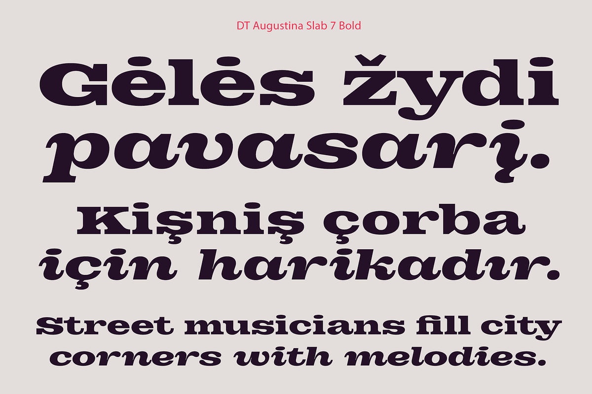 DT Augustina Slab 7 Subfamily, a Slab Serif Font by Deveze Type Foundry (Photo 14 of 31)