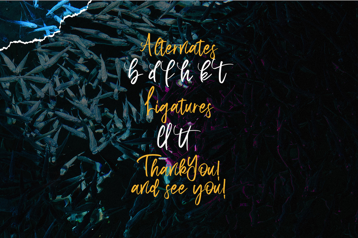 Aquilla - Brush Script Font, a Script Font by StringLabs (Photo 11 of 11)