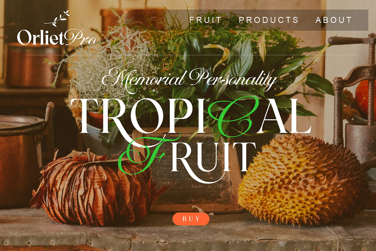 Orliet Pro - Serif, Icons + Script, a Serif Font by Joko Setiono (Photo 8 of 14)