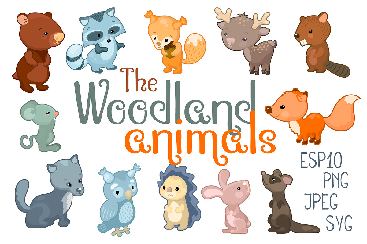 Woodland Animals Vector Clipart, an Animal Illustration by RabbitAndPencil (Photo 1 of 3)