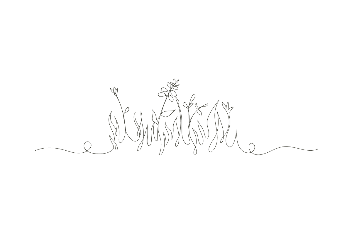simple botanical nature, an Object Graphic by lawoel (Photo 3 of 3)