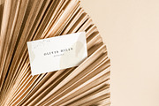 Rye - Business Card Mockup Bundle, a Product Mockup by Salt Color Studio (Thumbnail 4 of 11)