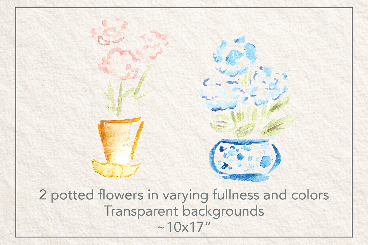 Soft Garden Watercolor Flowers, a Decorative Illustration by Bbooth88 (Photo 4 of 8)