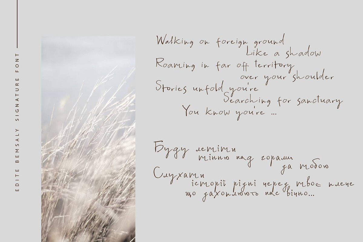 Edite Bemsaly Cyrillic Font, a Script Font by IraDvilyuk (Photo 4 of 10)