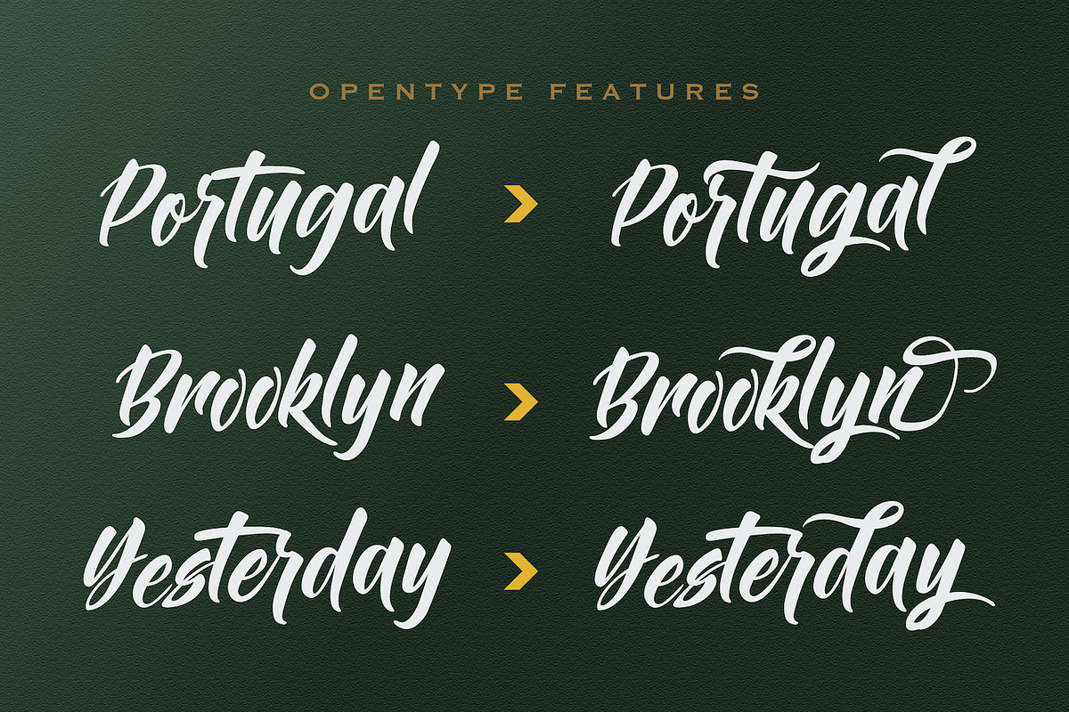 Bintang Kejora - Handwritten Font, a Script Font by StringLabs (Photo 6 of 10)