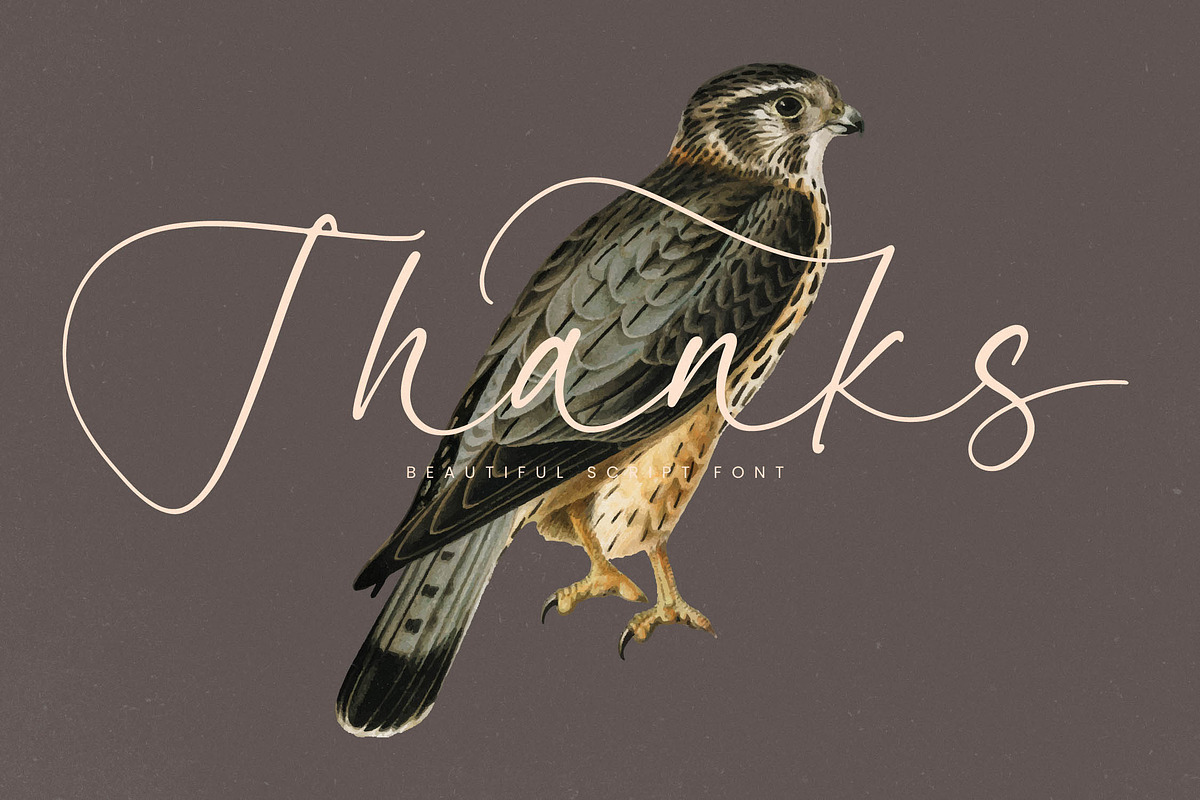 Garden Silent Elegant Script Font, a Script Font by stylishtype.co (Photo 20 of 20)