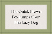 Vagabon Mighten- Display Serif Font, a Serif Font by RockboyStd (Thumbnail 8 of 12)
