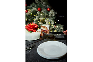 Festive Celebration With a, a Holiday Photo by IlliaBondarPhotography