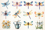 Summer Dragonfly Garden Clipart, an Illustration by Dream Creation (Thumbnail 2 of 4)