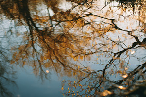 Stream Reflection Minimalist Water, a Nature Photo by Virgo Studio