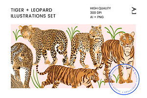 Tiger & Leopard Vector Illustrations