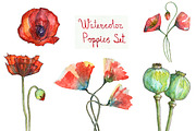 Bundle offer of watercolors, an Animal Illustration by Watercolor_Vector Graphic (Thumbnail 10 of 27)