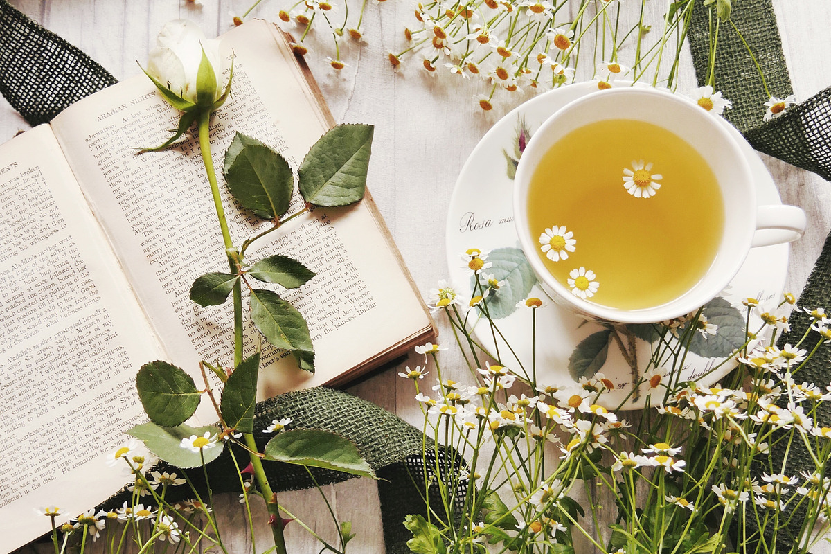 Garden Finds Flatlay Photo Bundle, a Photo by The Floral Healer (Photo 2 of 8)