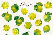 Fruit & Vegetable Watercolor Bundle, a Decorative Illustration by Olga Begak Art & Design (Thumbnail 10 of 13)