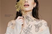 Insects Clipart - Black Line, PNG, an Illustration by Siriliadka Dreams (Thumbnail 5 of 9)