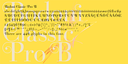 Bodoni Classic Pro, a Serif Font by Wiescher-Design (Thumbnail 2 of 5)