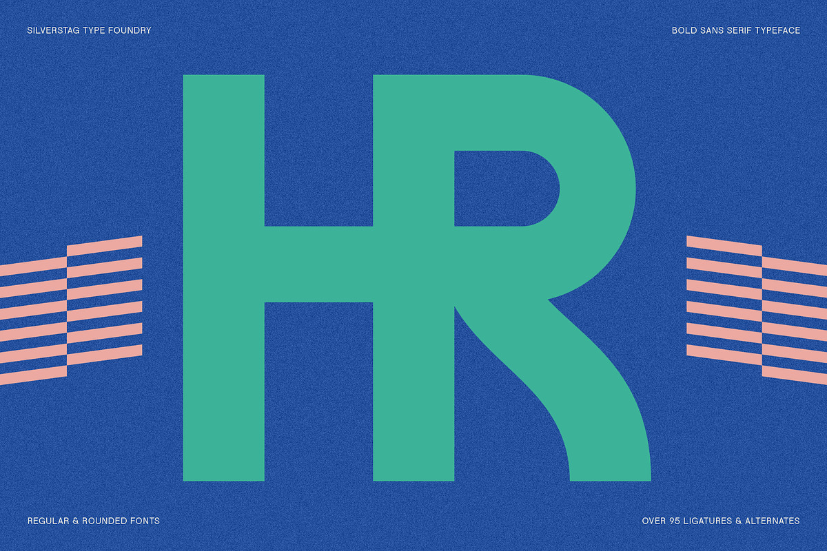 FlyBridge - Bold Ligature Rich Sans, a Sans Serif Font by SilverStag Type Foundry (Photo 9 of 30)