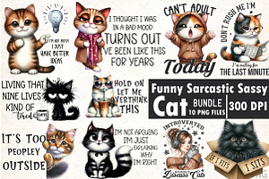 Funny Cat Sarcastic Sassy PNG, an Illustration by SinaCreation