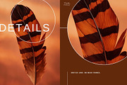 Warm Earth | 290 Earth Tone Photos, a Nature Photo by Tale.Haus (Thumbnail 16 of 18)