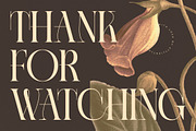 Caroowa Modern Serif Display, a Serif Font by timelesstype.co (Thumbnail 20 of 20)