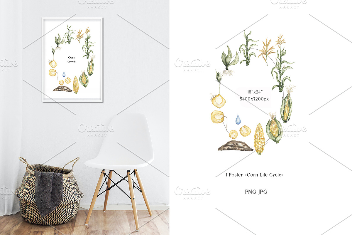 Watercolor Plant Life Cycle, an Education Illustration by MayaNavits (Photo 10 of 17)