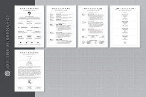 Resume Bundle Best Seller Resumes