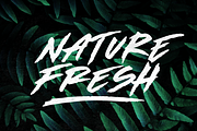 Made by Bears - Font, a Font by The Branded Quotes (Thumbnail 2 of 8)
