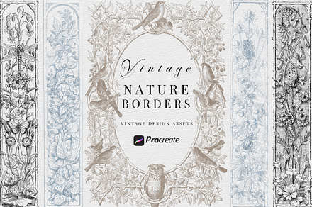 Procreate Vintage Nature Borders, a Brush Add-On by AW Studios