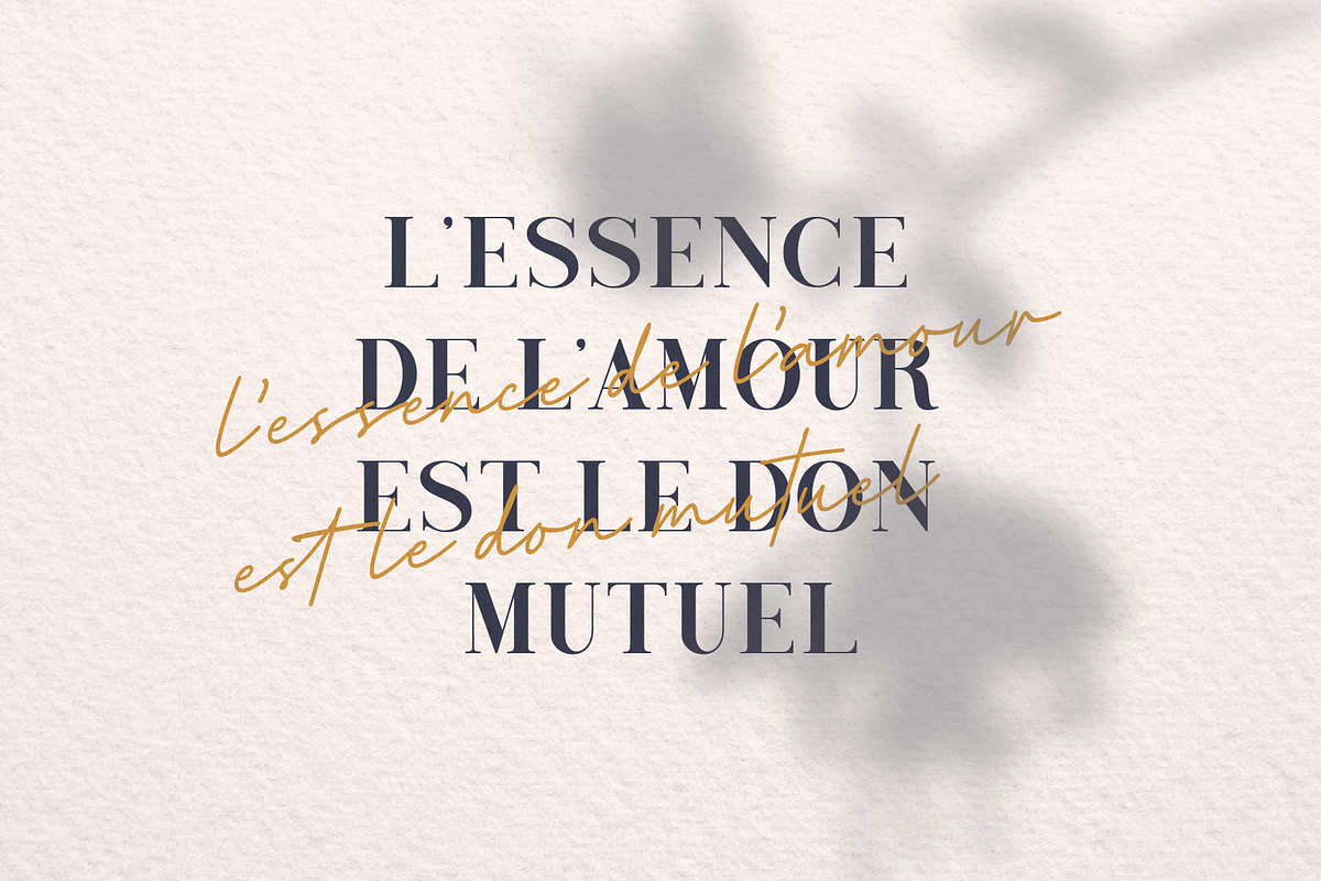 Royale Amoure Font Du, a Serif Font by Almeera Std (Photo 2 of 12)