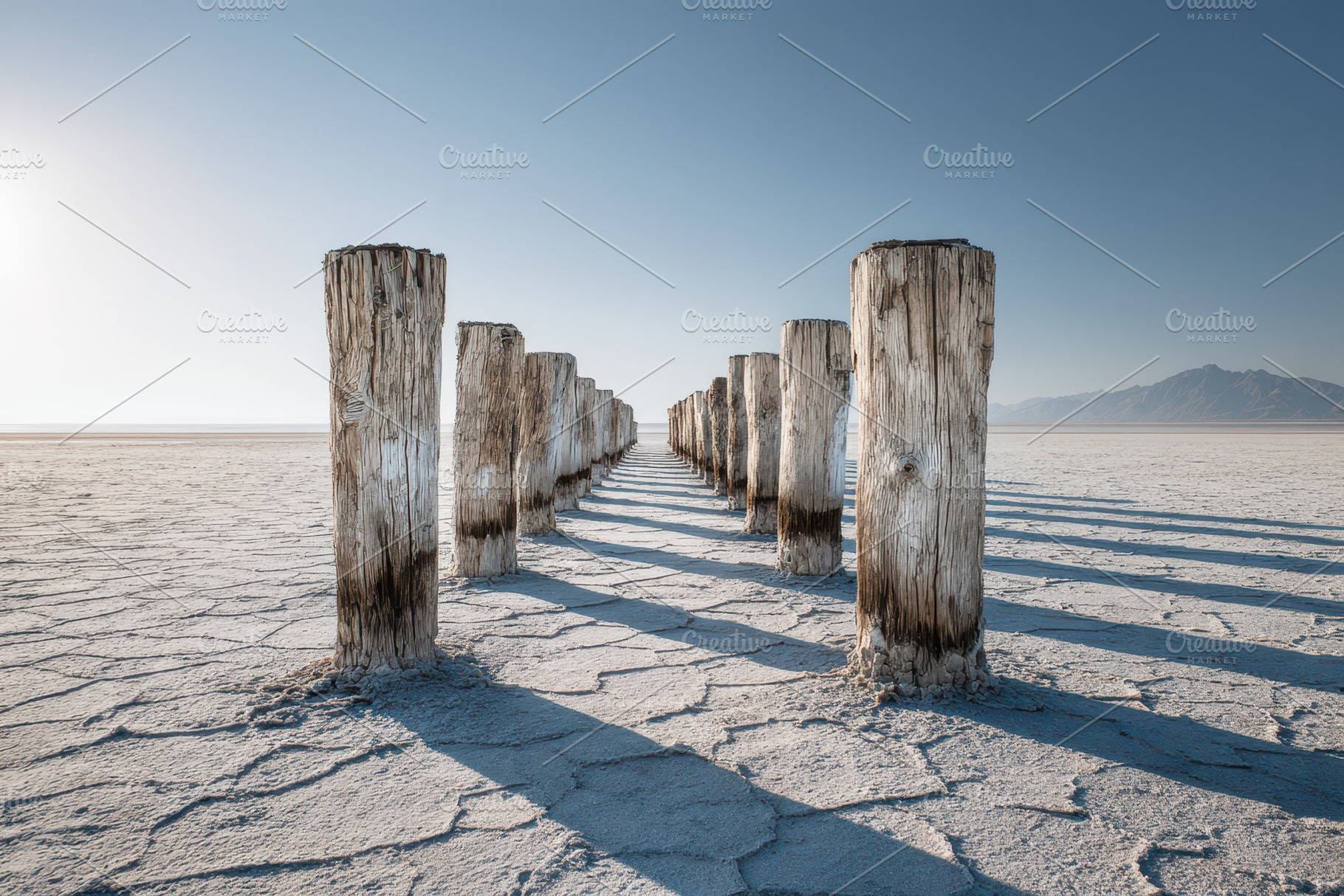 Wooden posts line a path across dry, a Photo by Pavel_design